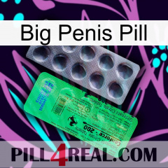 Big Penis Pill new04